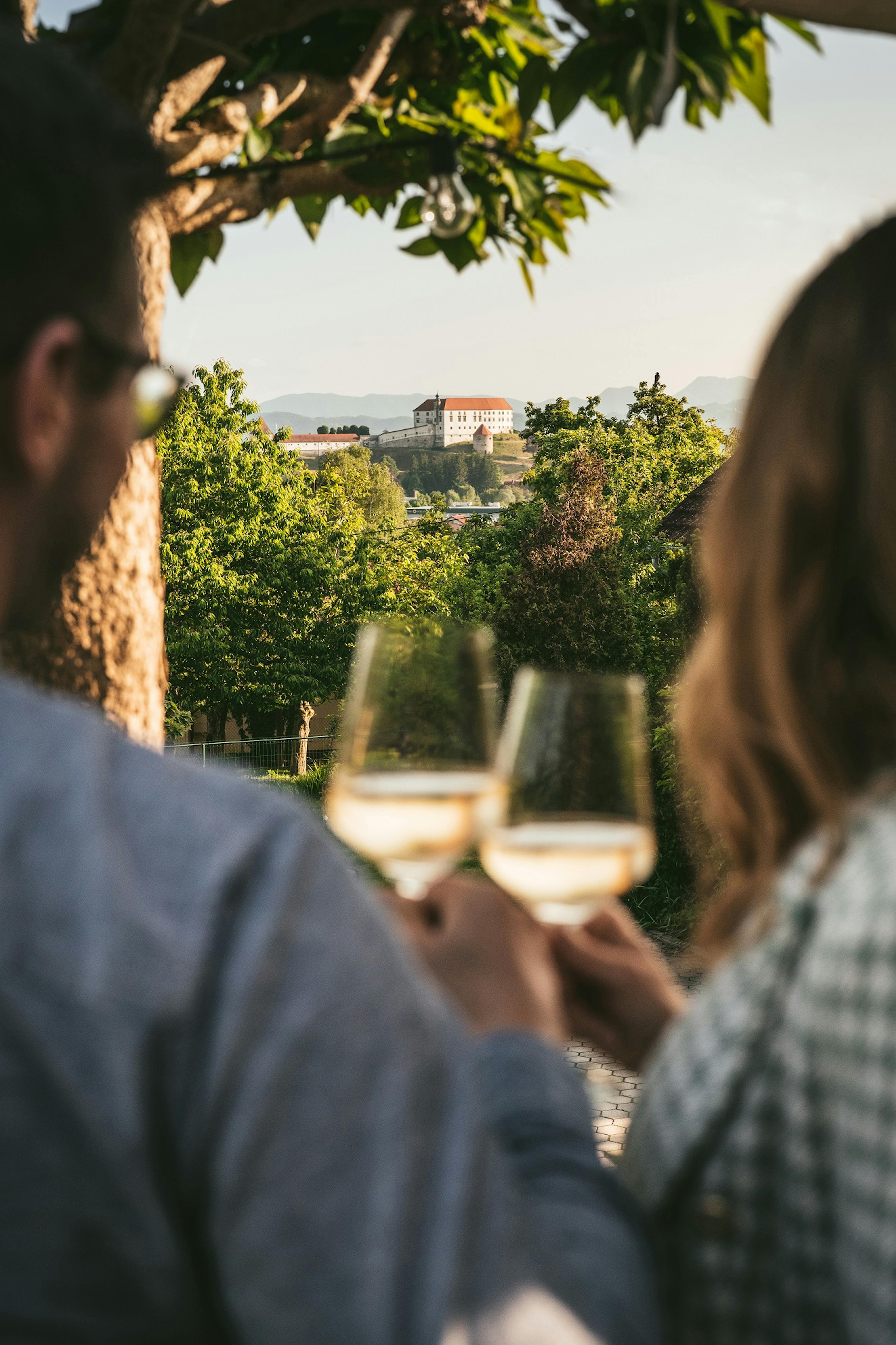 TASTE OF PTUJ